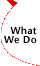 What We Do button